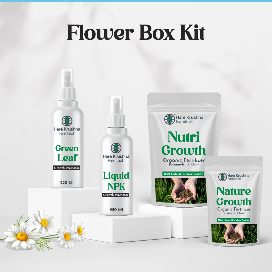 Flower Box Kit ( Plant Flowering)