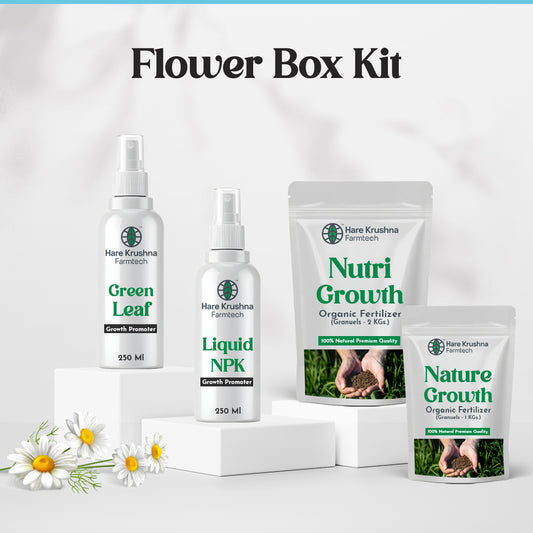 Flower Box Kit ( Plant Flowering)