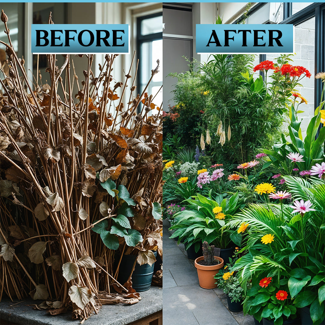 Flower Box Kit ( Plant Flowering)