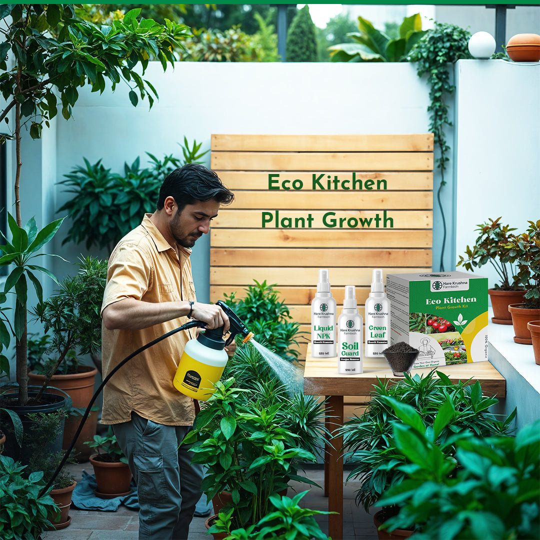 Eco Kitchen Kit (All In One Kitchen Garden Kit)