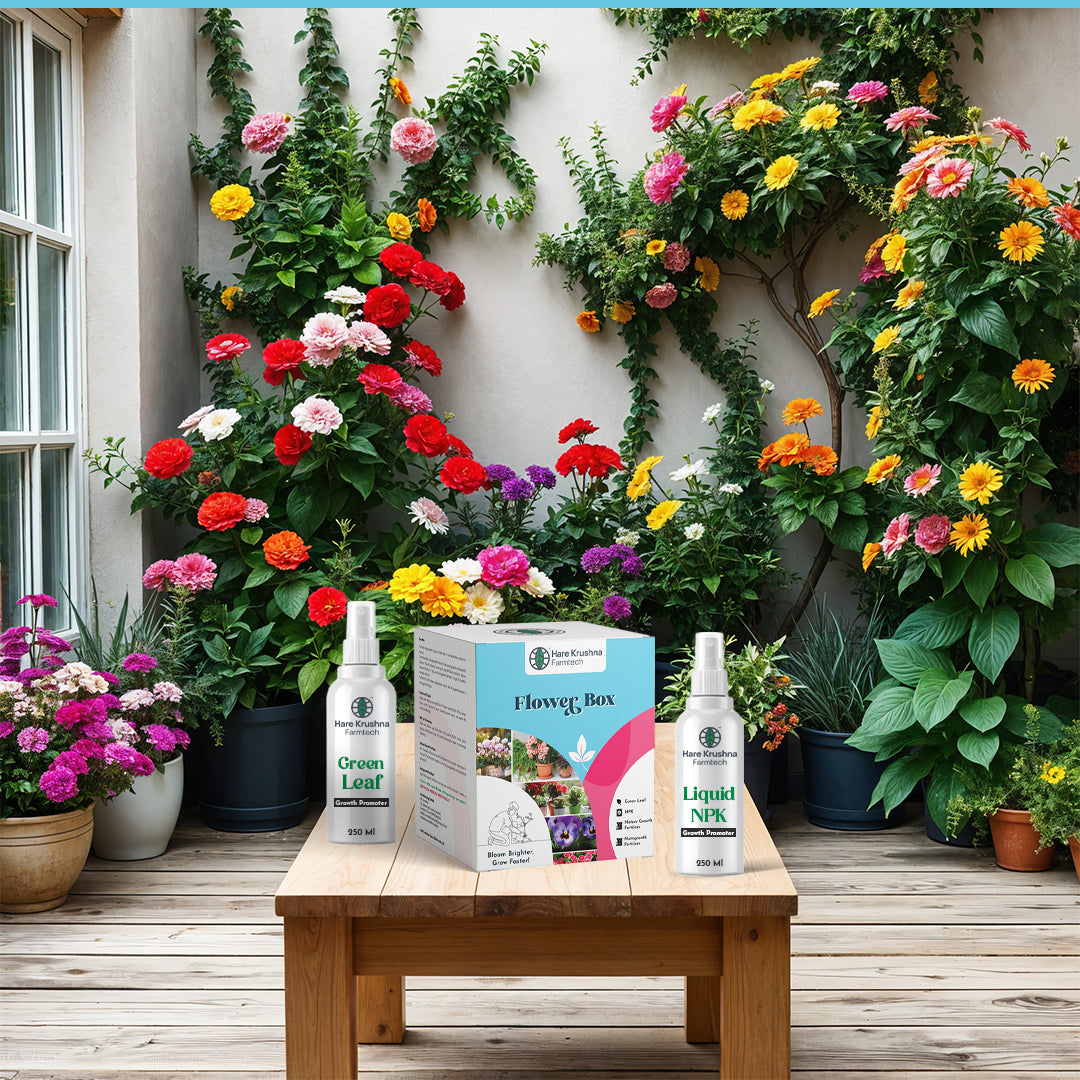 Flower Box Kit ( Plant Flowering)