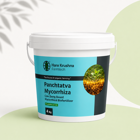 Panchtatva mycorrhiza