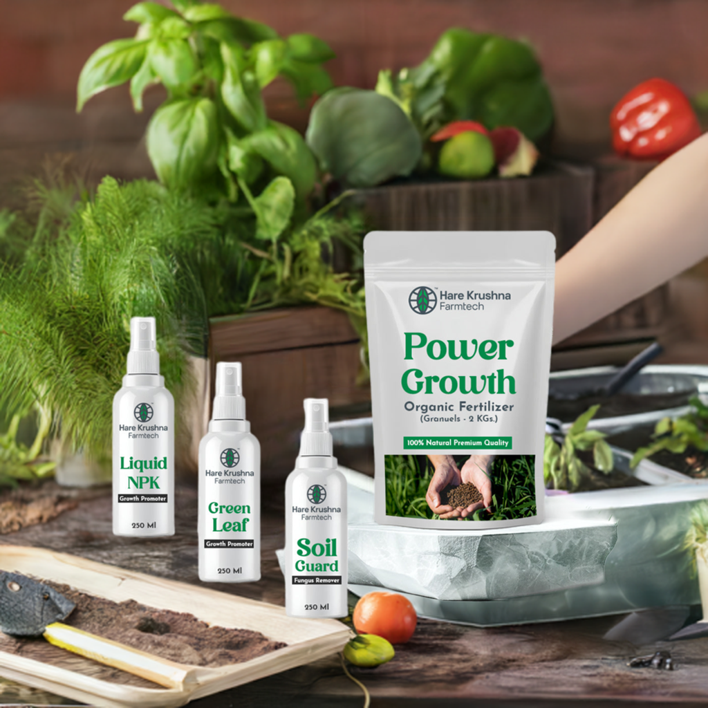 Eco Kitchen Kit (All In One Kitchen Garden Kit)