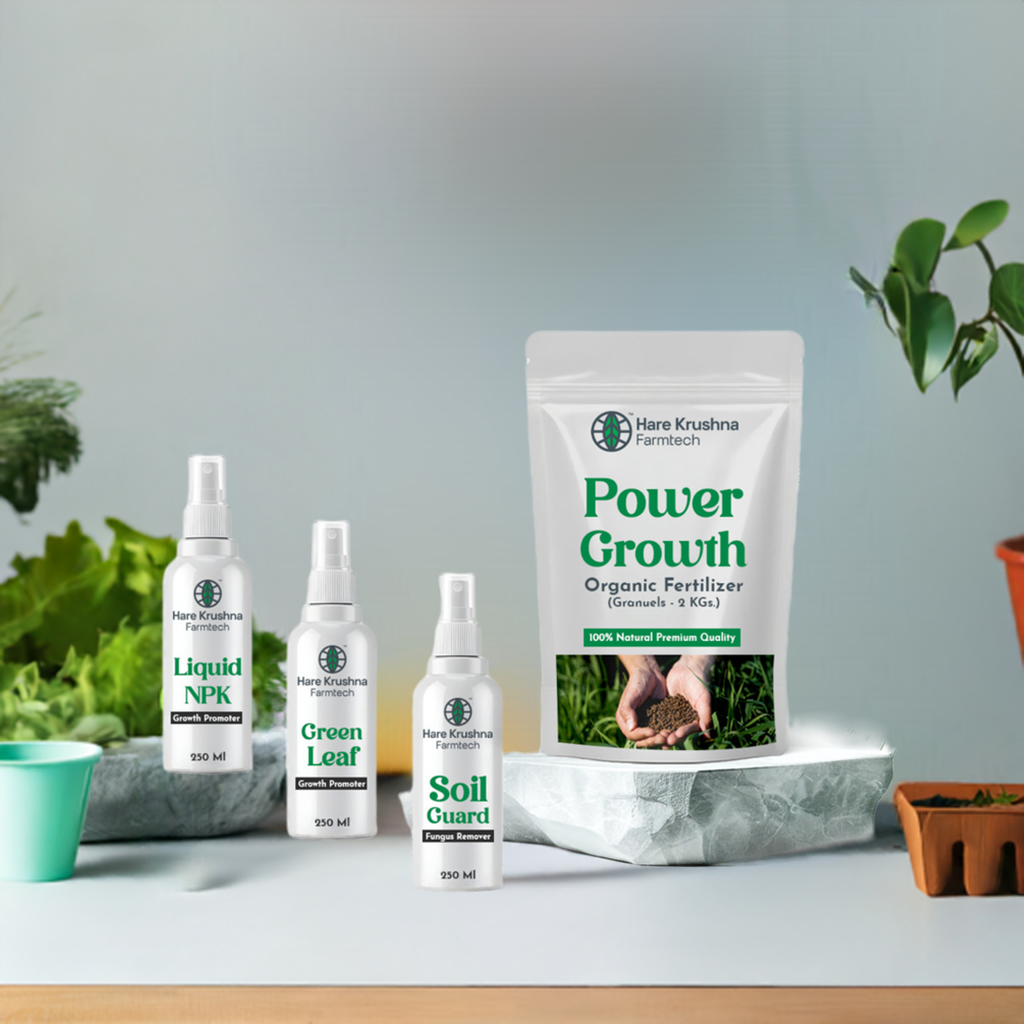 Eco Kitchen Kit (All In One Kitchen Garden Kit)