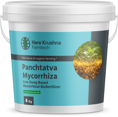Panchtatva Mycorrhiza Biofertilizer
